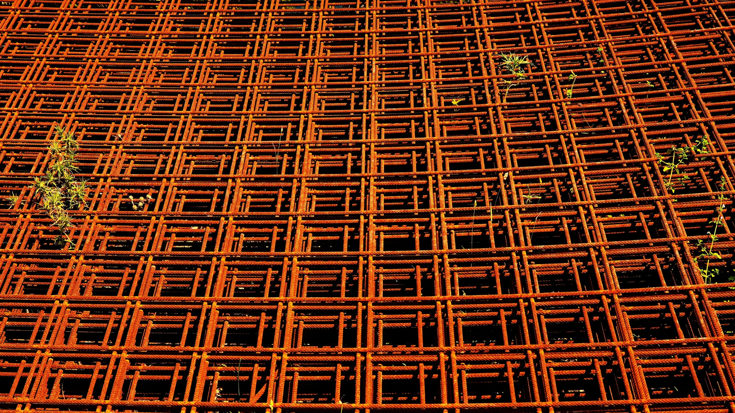 Technical Briefing Feed